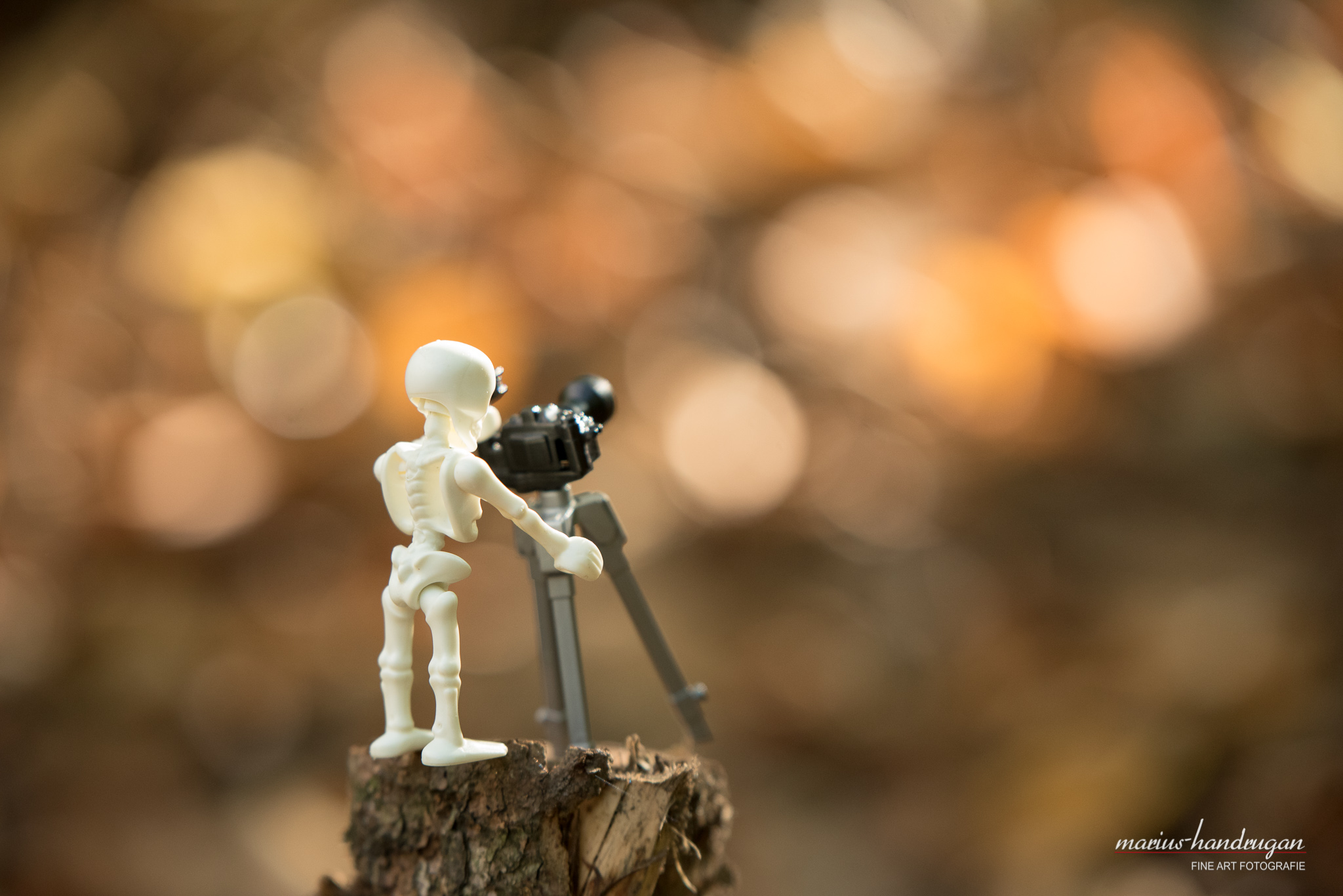 Playmobil Skelettfigur mit Kamera vor unscharfem Hintergrund